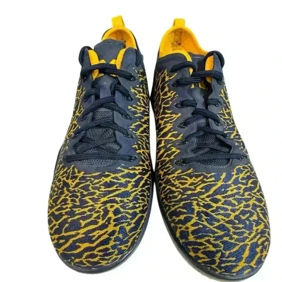 NIKE Size 8 - Jordan Trainer 1 Low Michigan 2016
Yellow / Blue Shoe - Picture 11 of 16